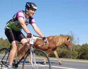 How many races do you get to ride right beside a wild pony?